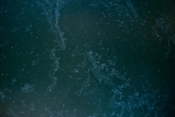 Tournaverse Kaszinó Támogatás